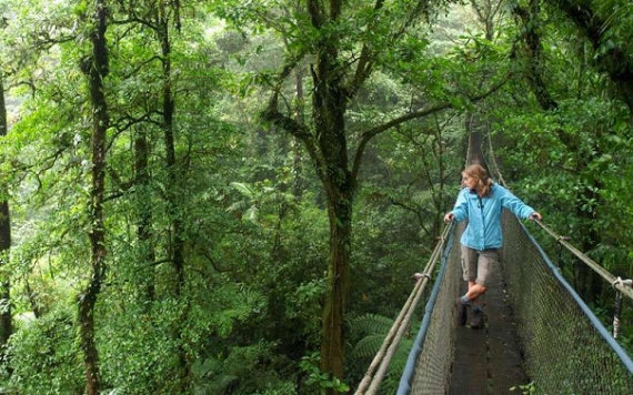 Monteverde Tours