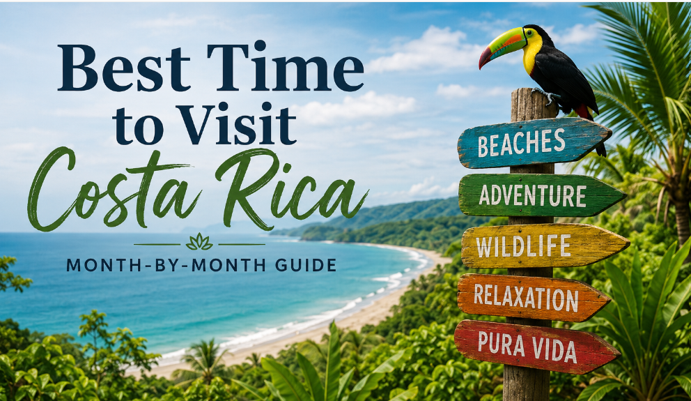 Best Time to Visit Costa Rica: Month-by-Month Guide best time to visit costa rica